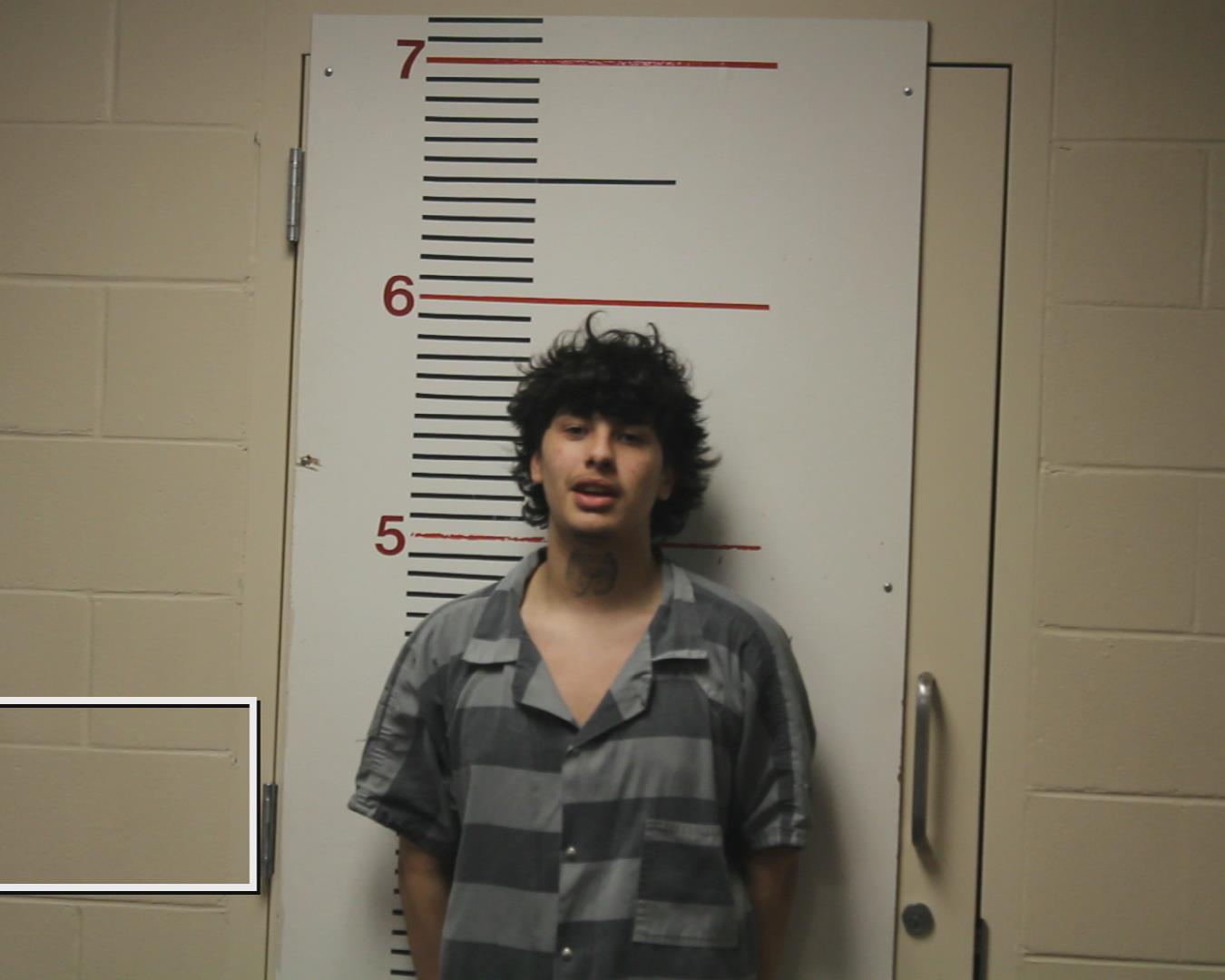 SALINAS, DAMIAN OMAR booking photo