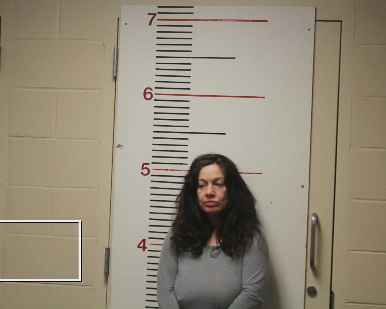 LANKFORD, ANDREA MARIE booking photo