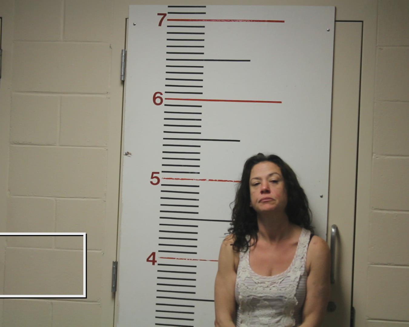 BRUCE, BRANDE Lea booking photo