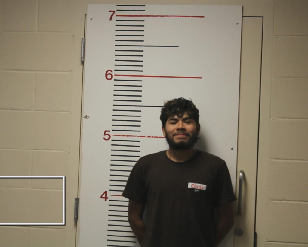 BELTRAN JR, ROBERTO booking photo