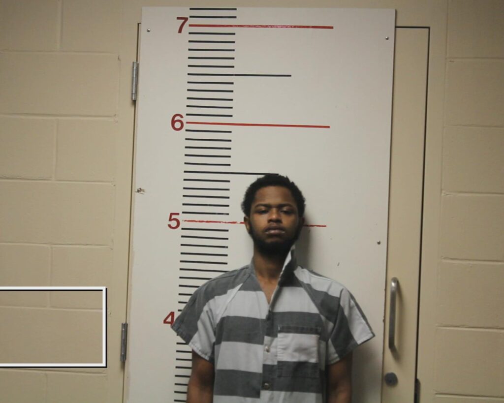 ZERAI, SAMUEL, Jr. booking photo