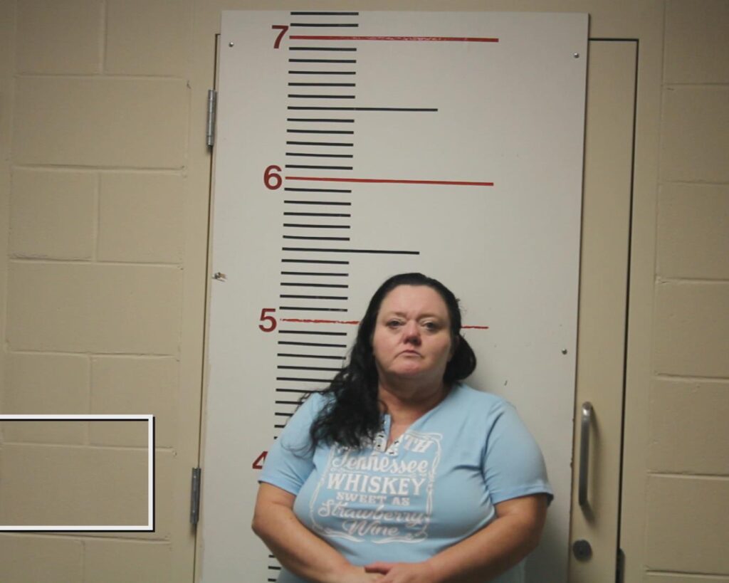 SIMPSON, SHELLIE RENEE booking photo