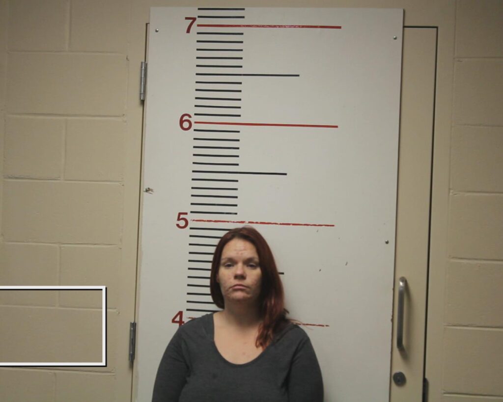 WINDSOR, AMANDA LEEANN arrest record in Anderson County, Texas WINDSOR, AMANDA LEEANN arrested in Anderson County, Texas mugshot