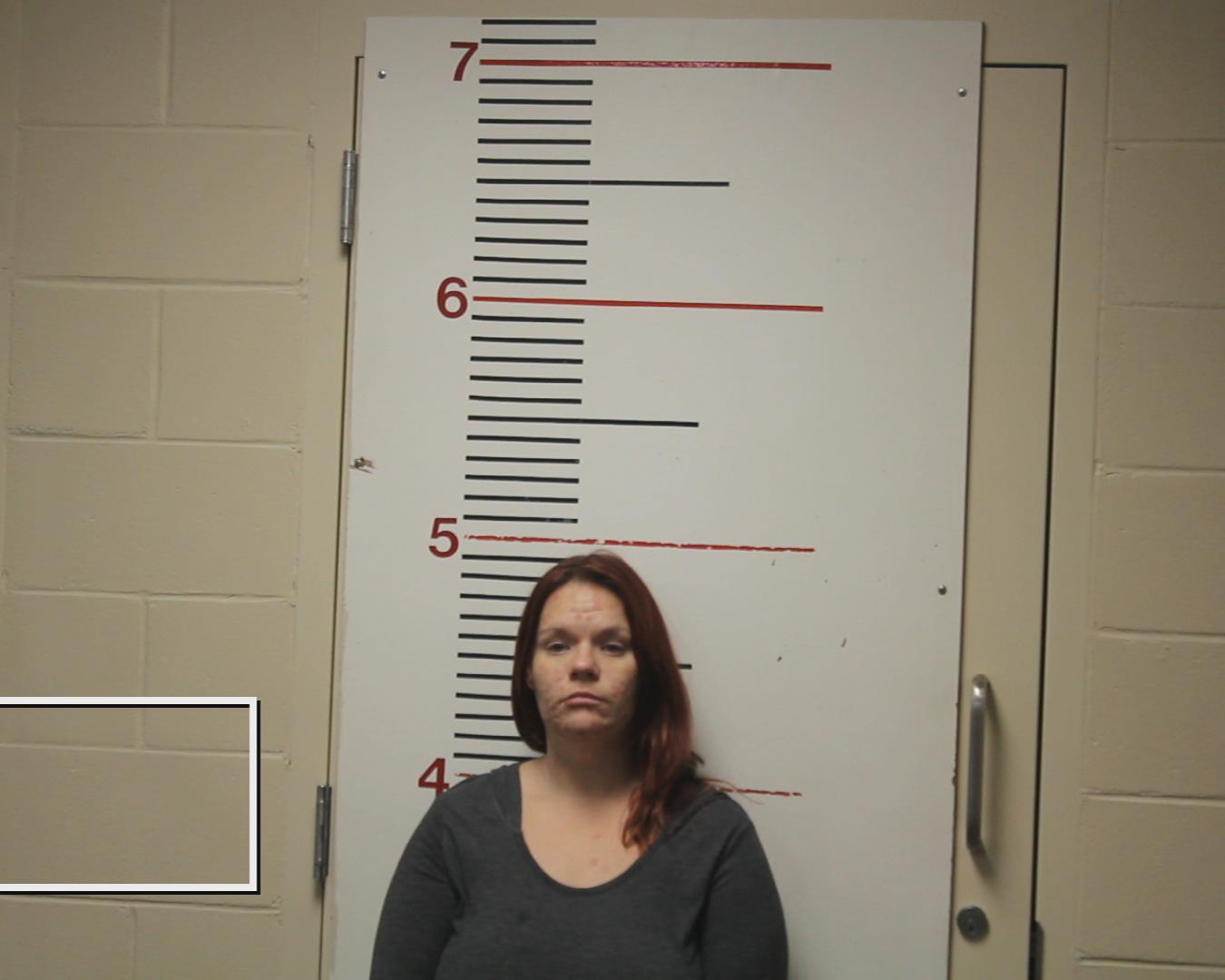 WINDSOR, AMANDA LEEANN booking photo