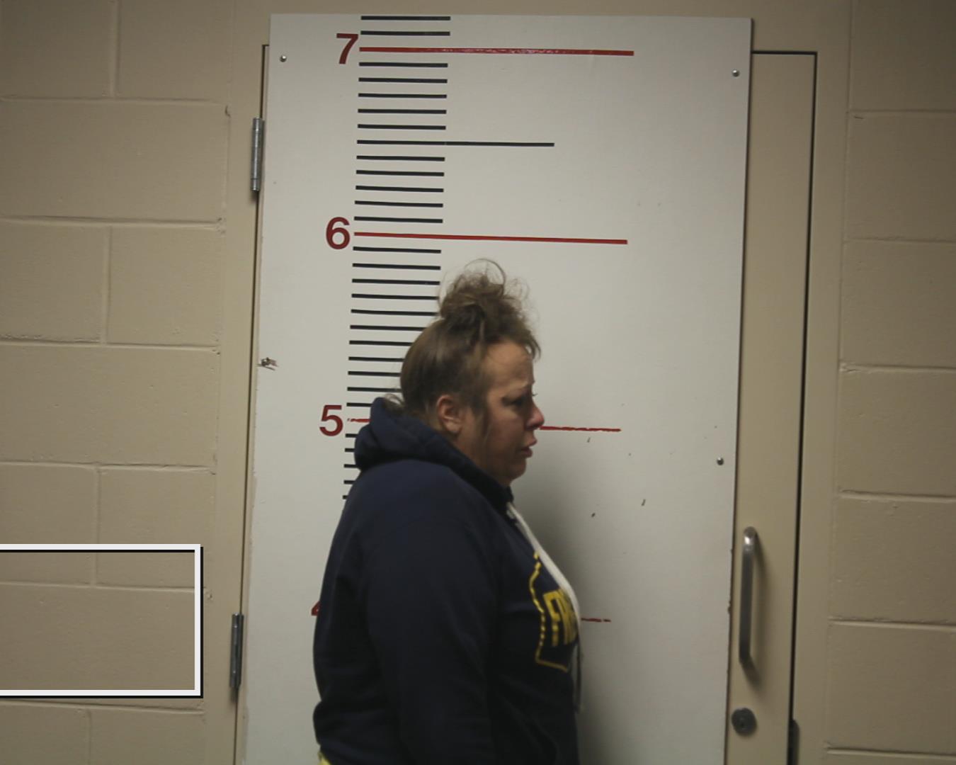 BRUCKNER, MARY HEATHER arrested by Anderson County SO/PD