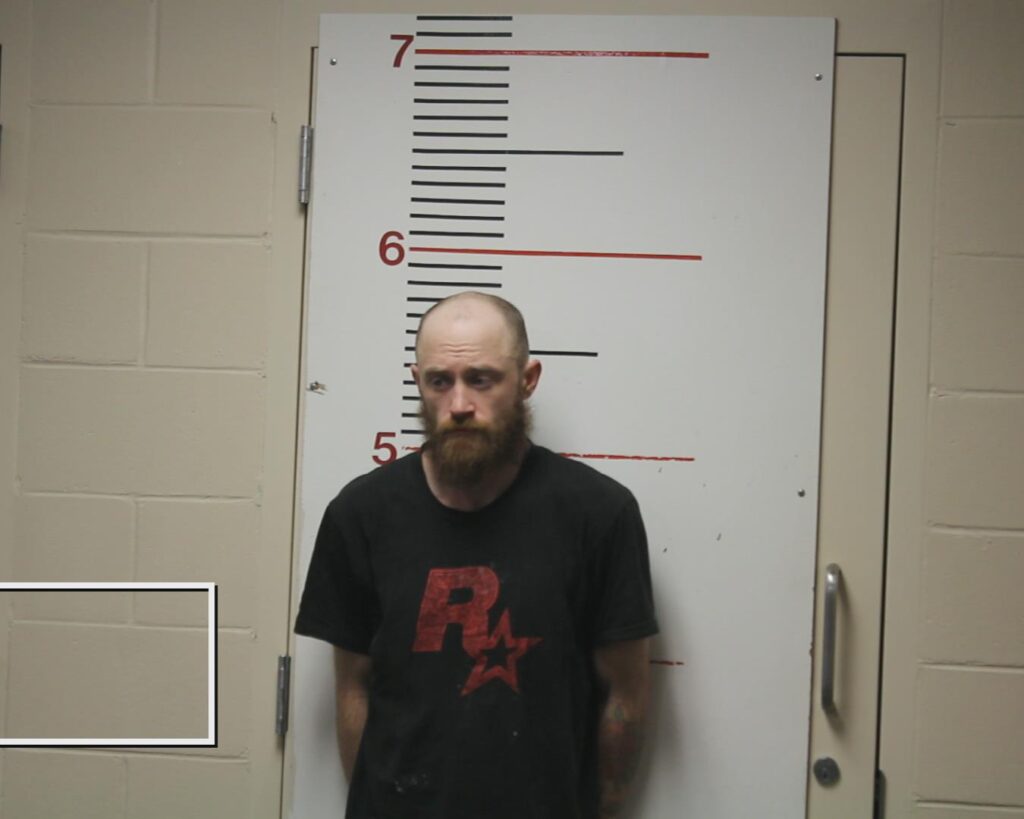 JOHNSON, MITCHELL CASEY-ROSS booking photo