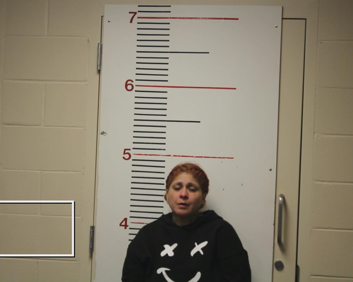 FLORES, PAULA booking photo