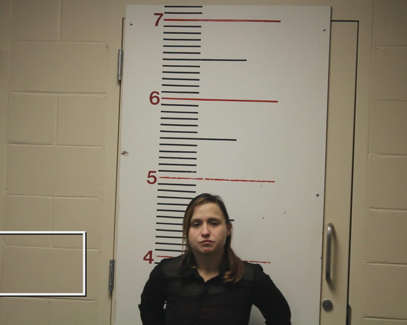 Pichardo, Arian Page booking photo