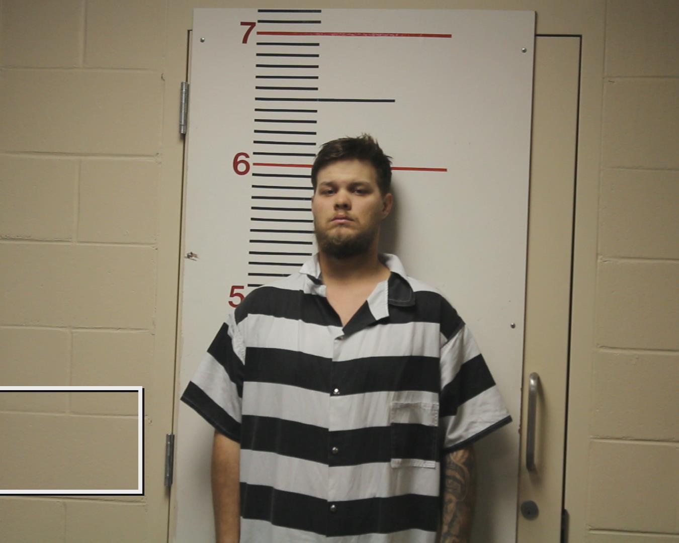 STANEART, TRENTON LEE booking photo