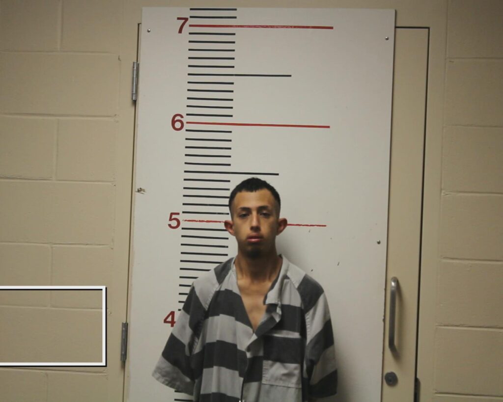 MARTINEZ-CARMONA, LEONARDO DANIEL booking photo