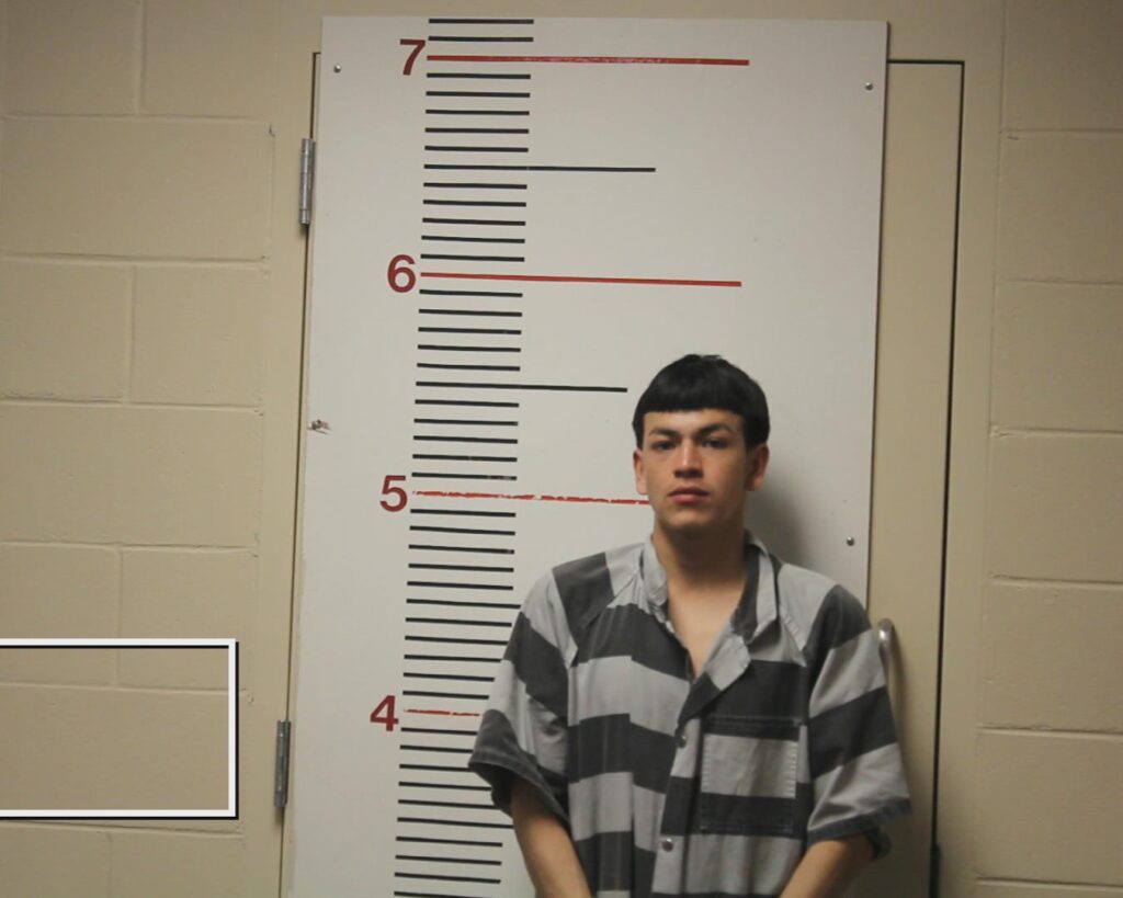 VALLAOBOS-FLORES, MARVIN OSARIS booking photo