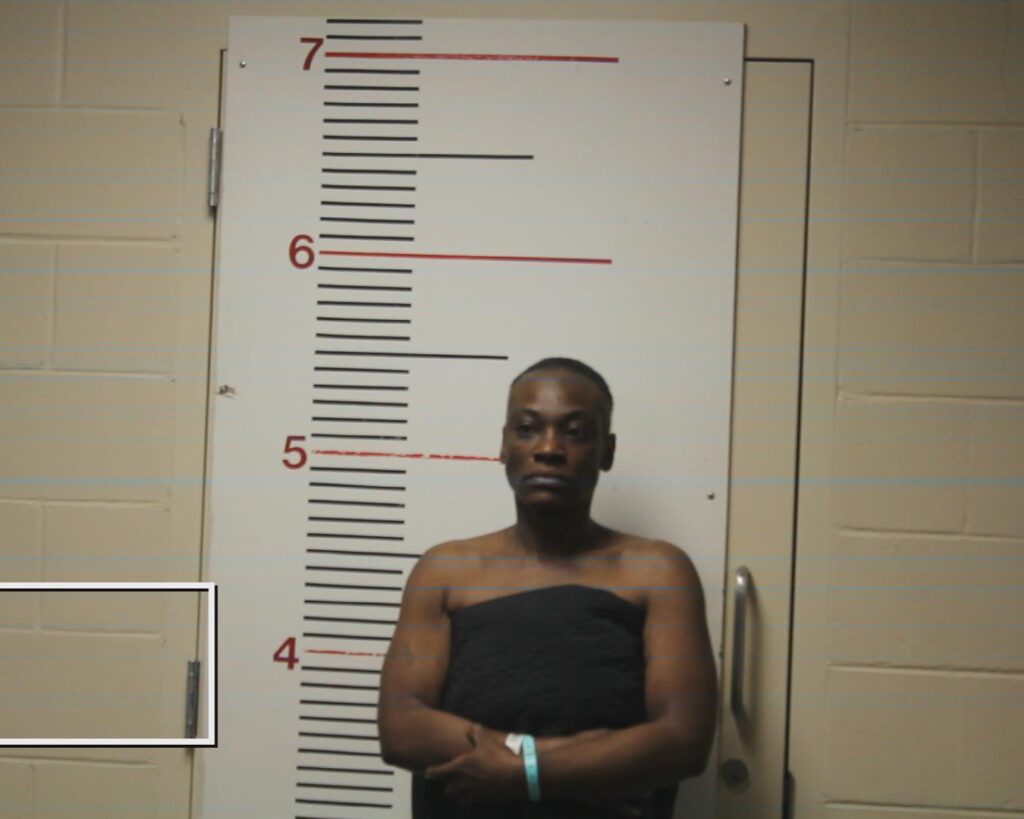 CARROLL, LYNN MARIE booking photo