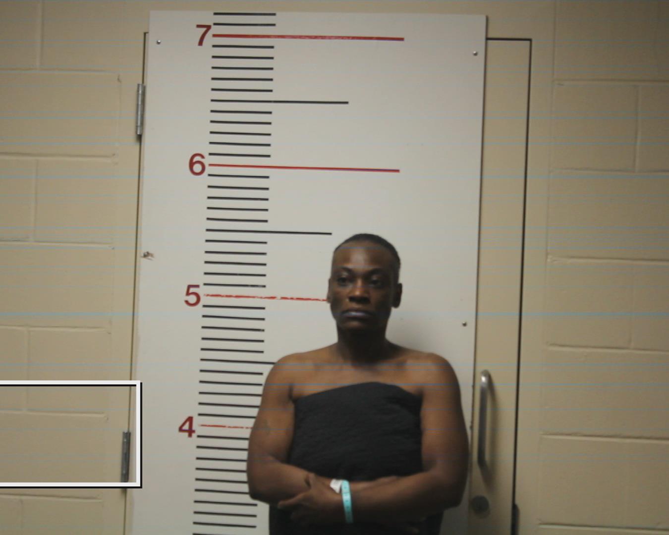 CARROLL, LYNN MARIE booking photo