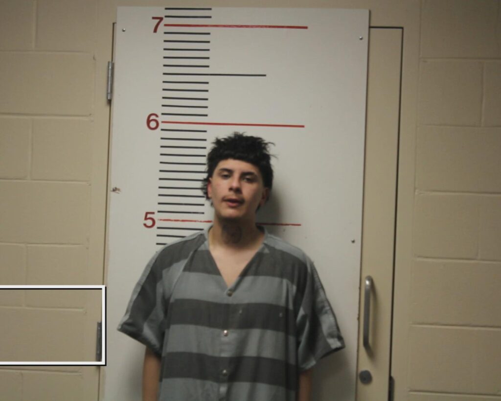 SALINAS, DAMIEN OMAR booking photo