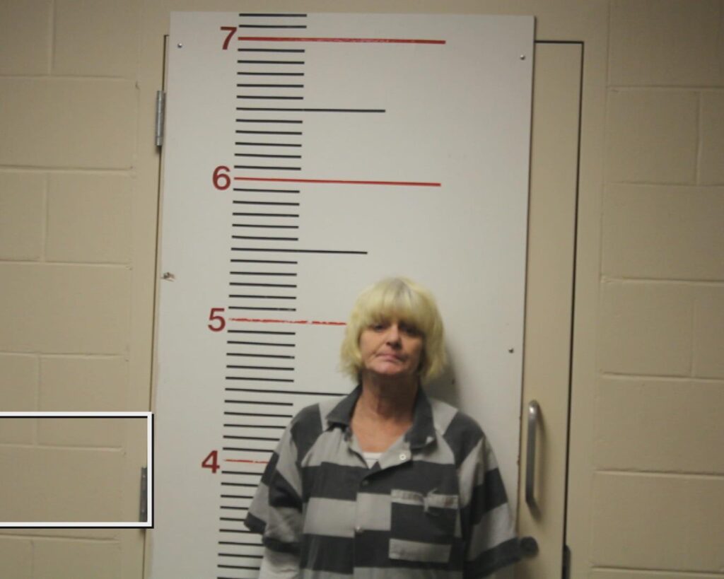 DALTON, WENDY RENEE booking photo