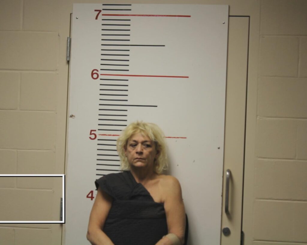 LOTT, CARMEN DENICE booking photo