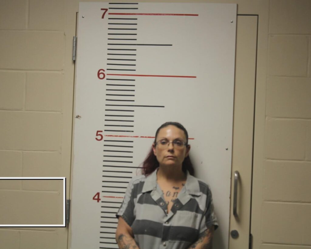 CARRINGTON, AMY DENISE booking photo