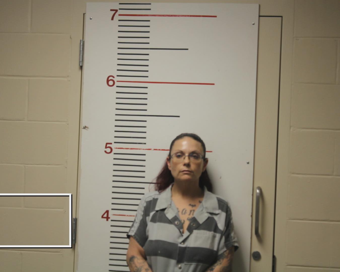 CARRINGTON, AMY DENISE booking photo