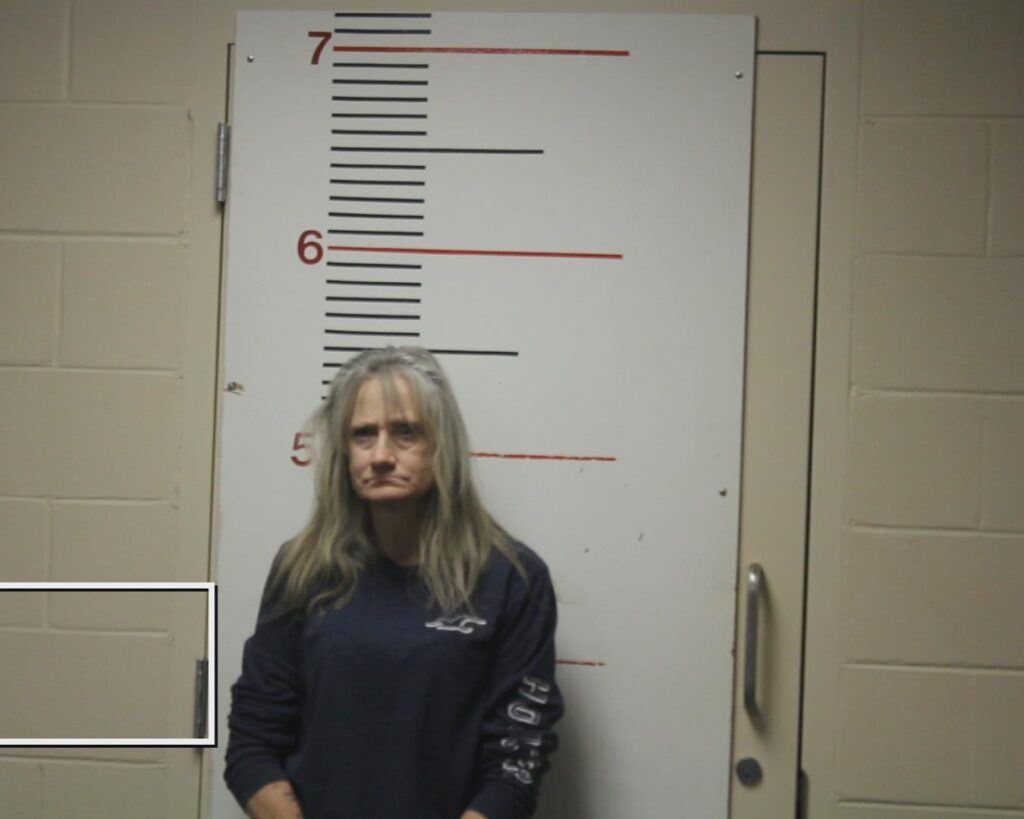 CLARK, BRENDA RENEE booking photo