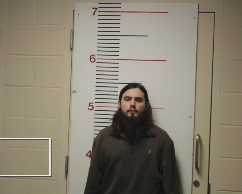 WIDNER, BLAKE DOYLE booking photo