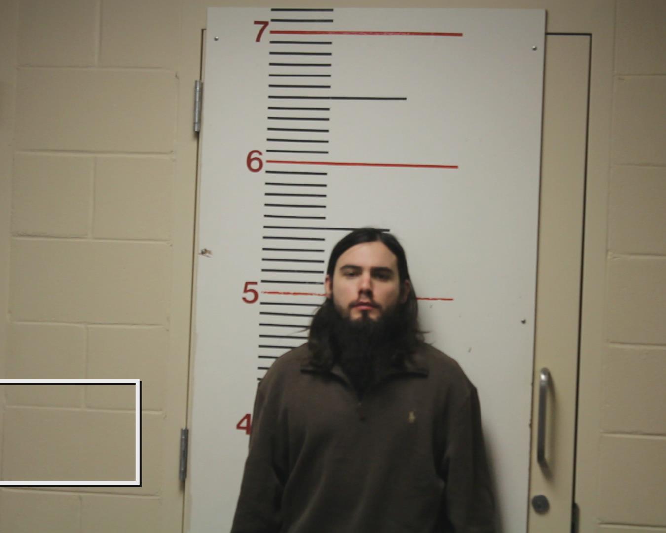 WIDNER, BLAKE DOYLE booking photo