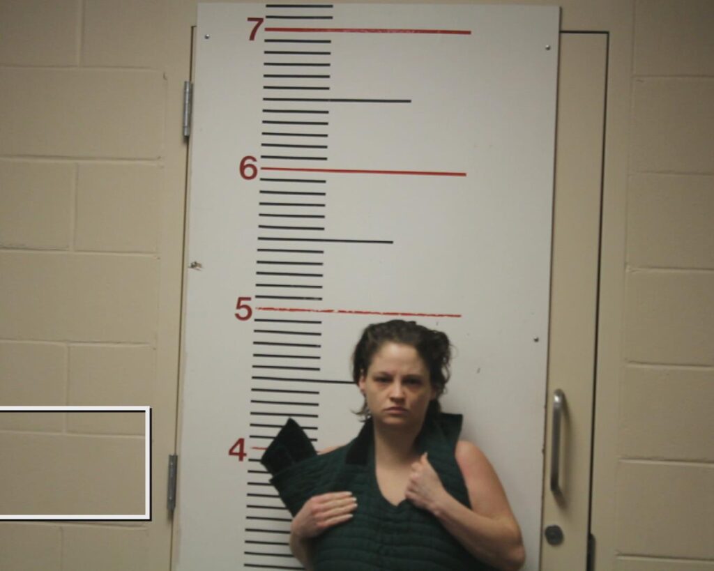 ANDREWS, HANNAH NICOLE booking photo