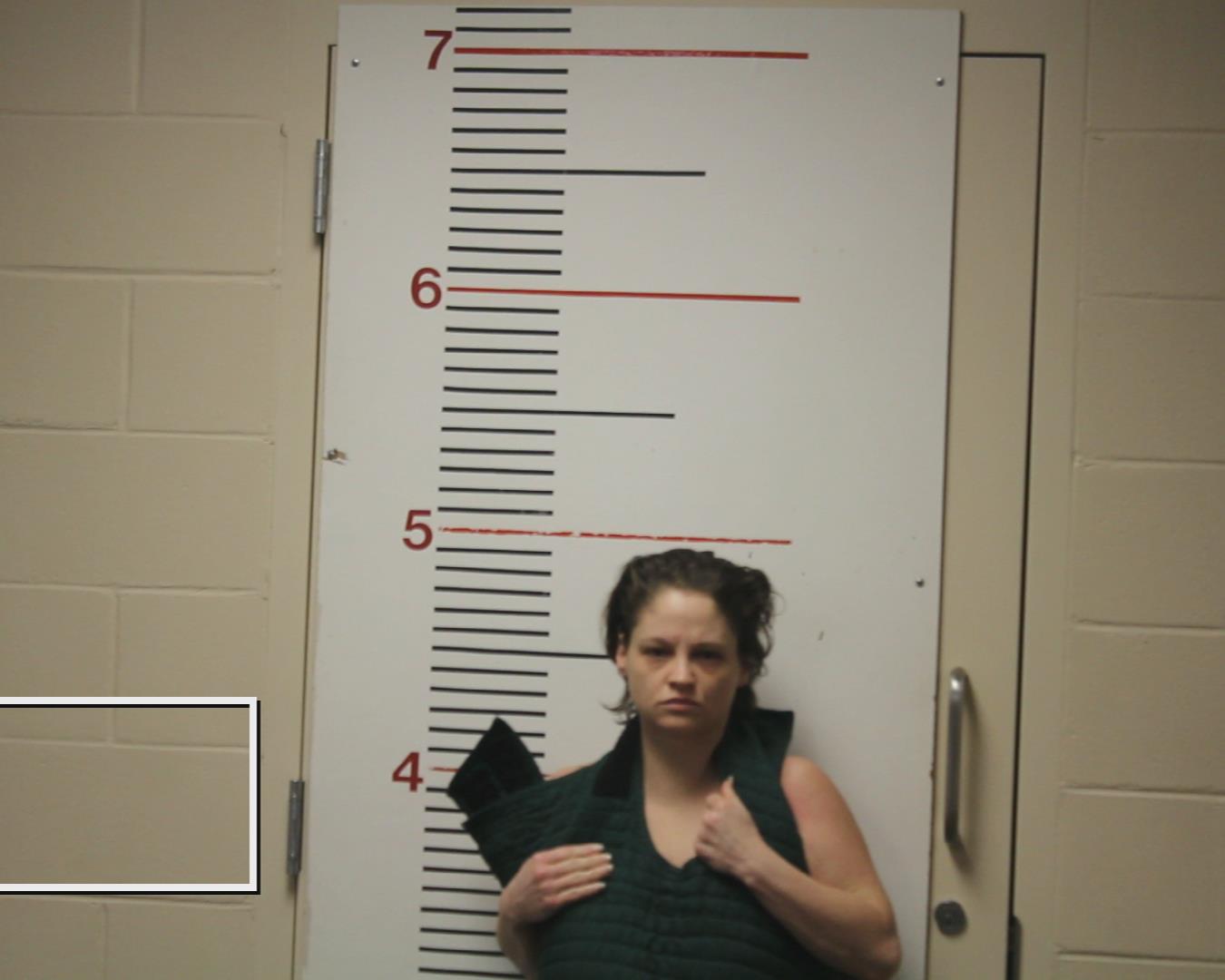 ANDREWS, HANNAH NICOLE booking photo