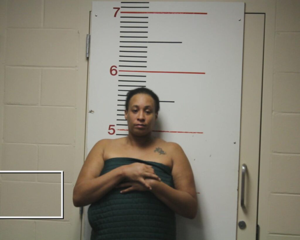 LOTT, ASHLEY NICHOLE booking photo