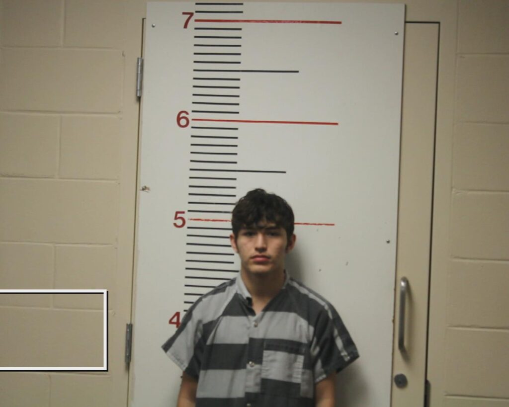 LANDAZURI GILER, SEBASTIAN ANDRES booking photo