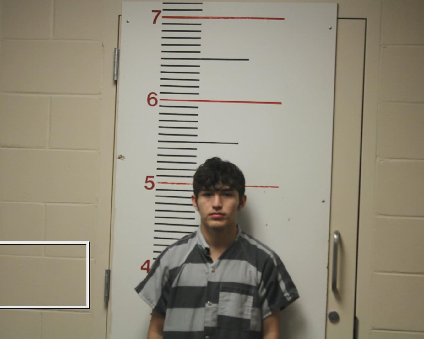 LANDAZURI GILER, SEBASTIAN ANDRES booking photo