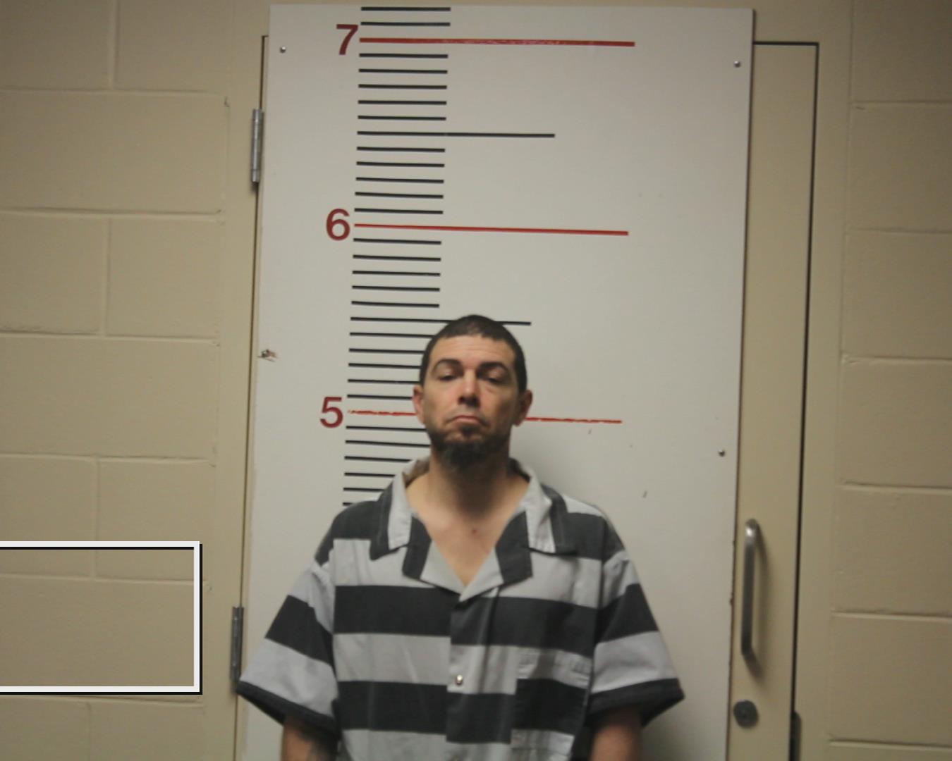 SELF, DAVID GLEN booking photo