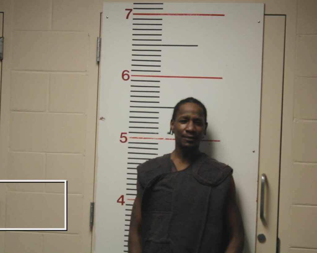 LEWIS, JIMMY HAWKINS, Sr. booking photo