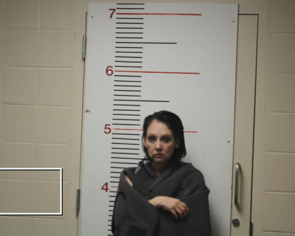 JEFFERSON, VERONICA booking photo