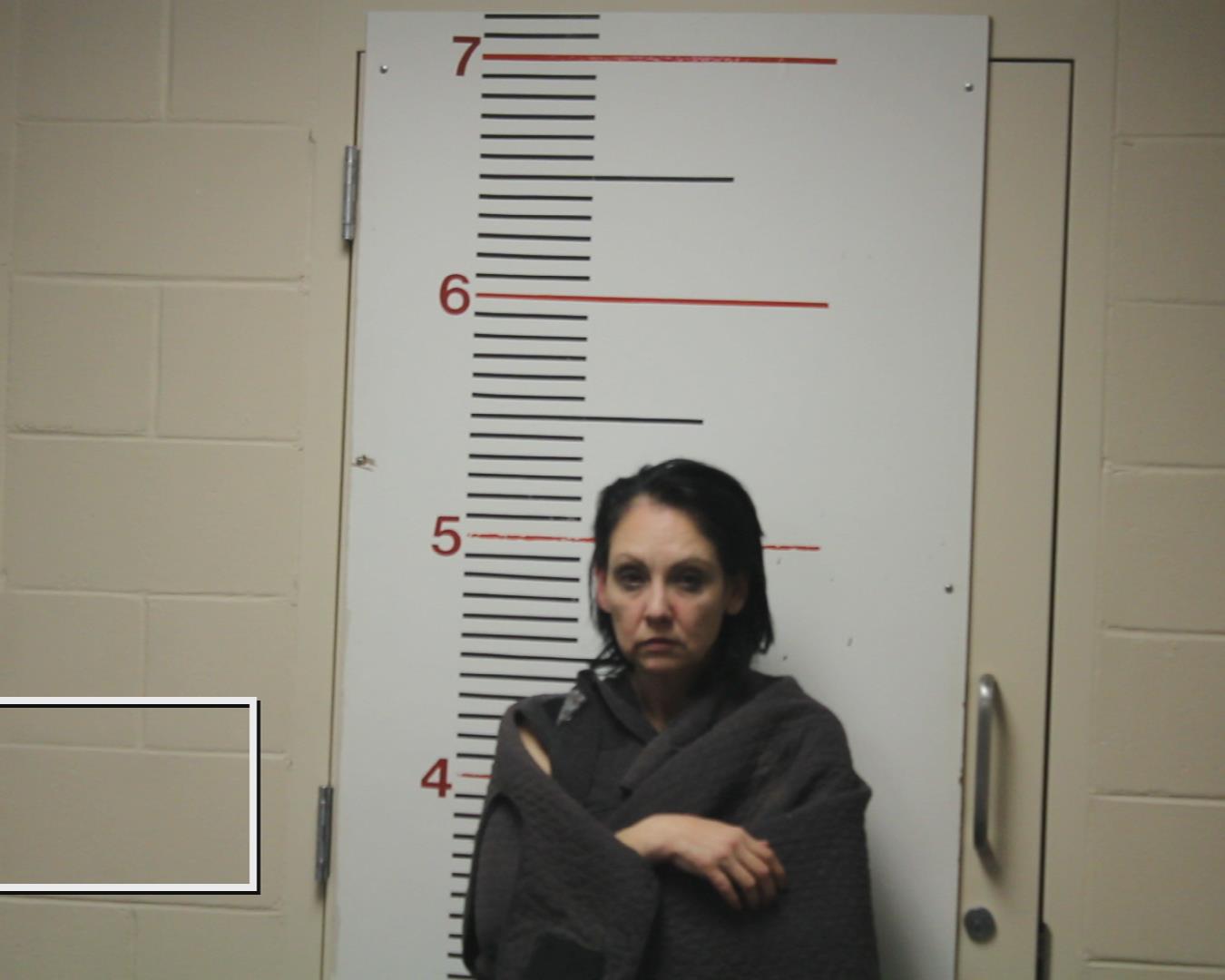 JEFFERSON, VERONICA booking photo