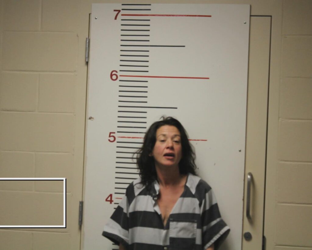 BRUCE, BRANDE booking photo