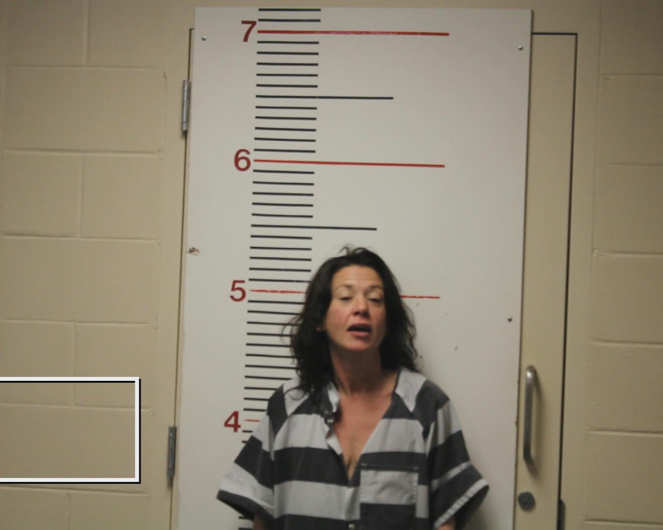 BRUCE, BRANDE booking photo