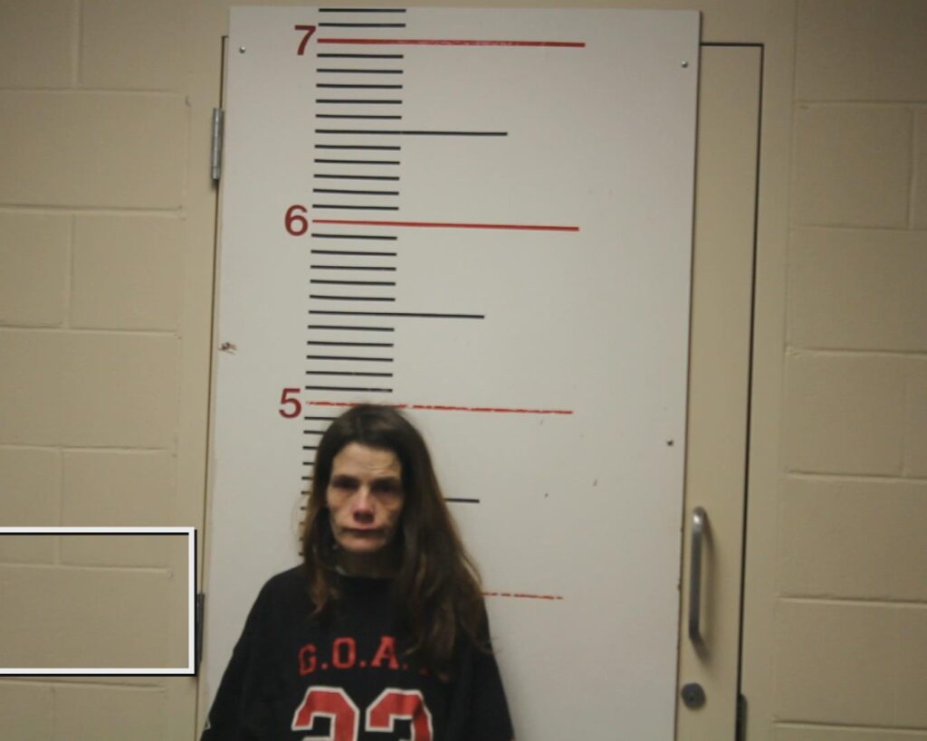 BOST, BARBARA KAY booking photo