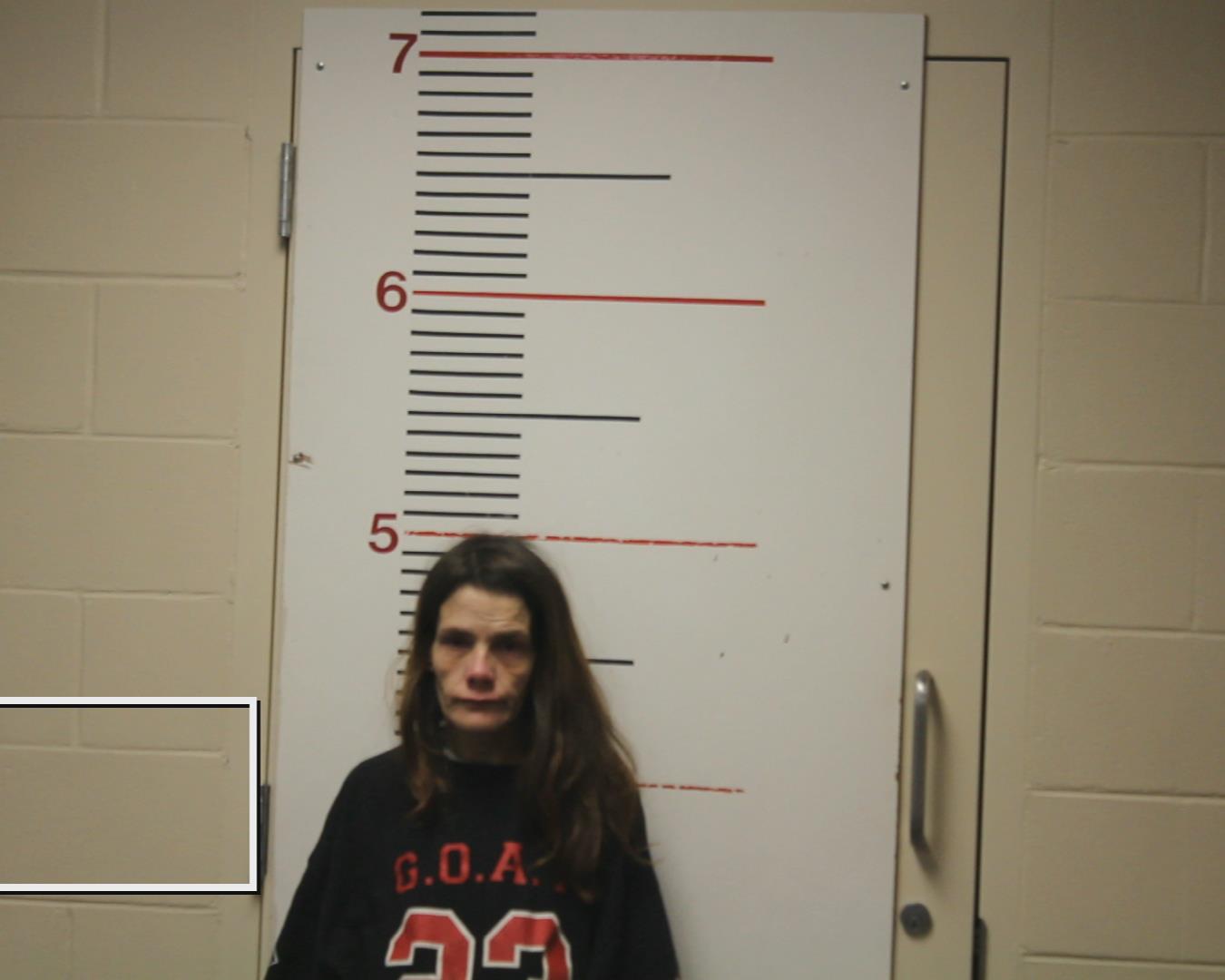 BOST, BARBARA KAY booking photo