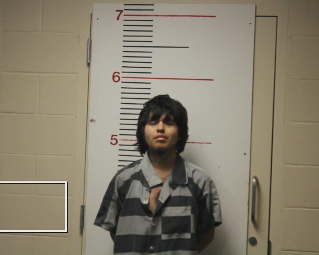 LEANDRO, RICARDO booking photo