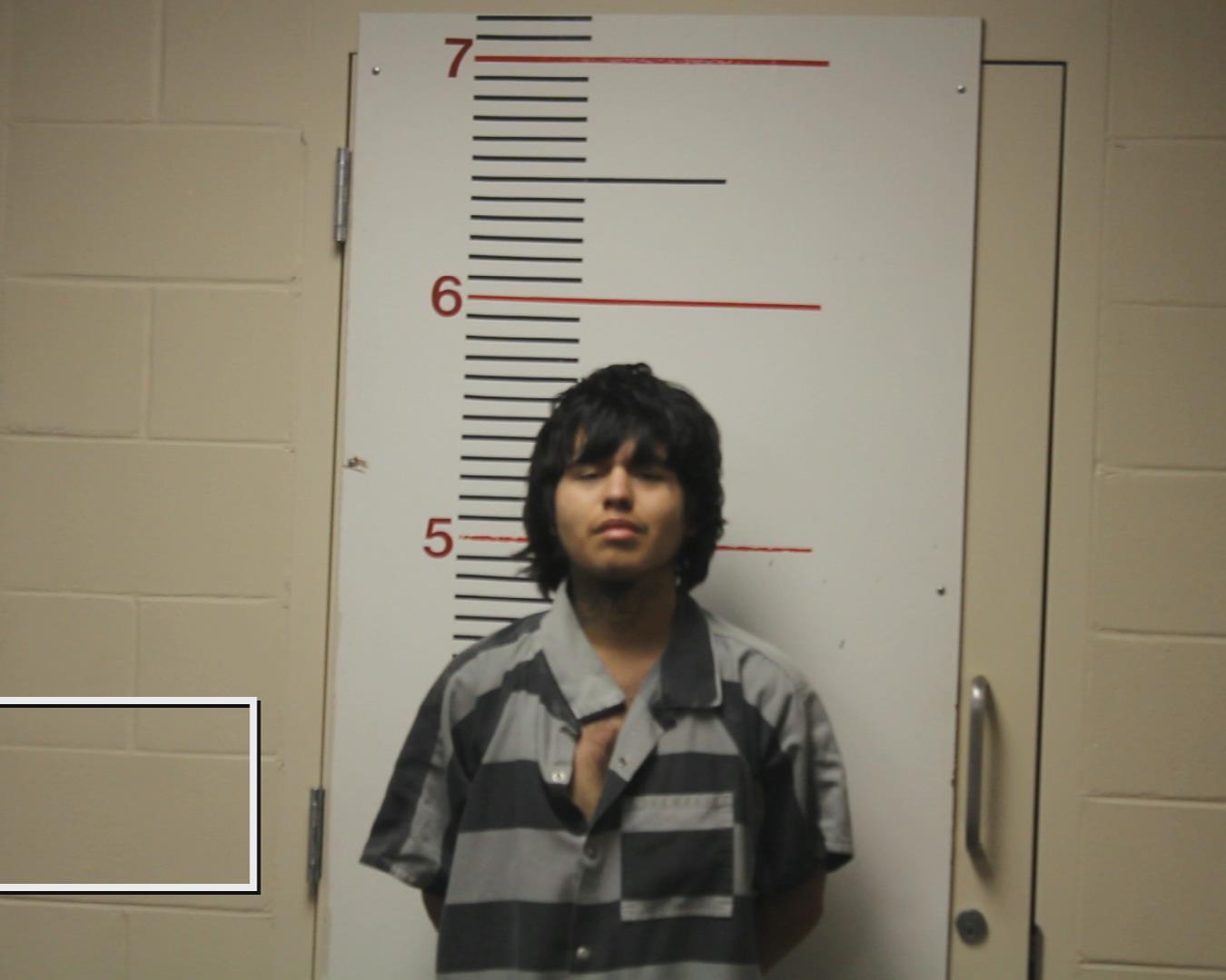 LEANDRO, RICARDO booking photo