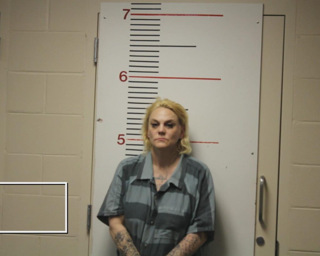 FOLSOM, HEATHER NICHOLE booking photo