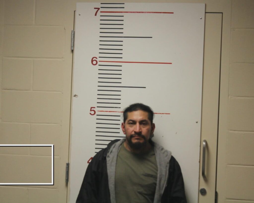 VELASQUEZ, TEODORO booking photo