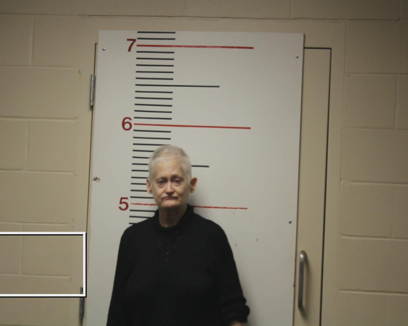 MCDONALD, ANITA FLETCHER booking photo