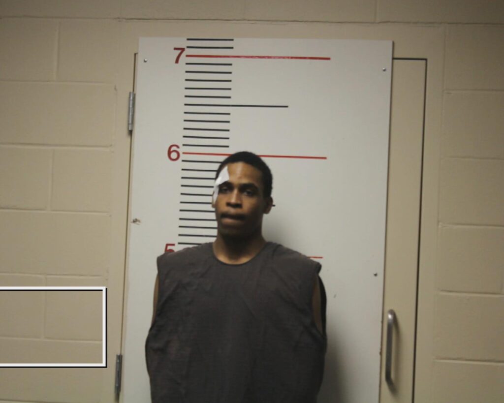 PURSLEY, ISAIAH DENZEL booking photo