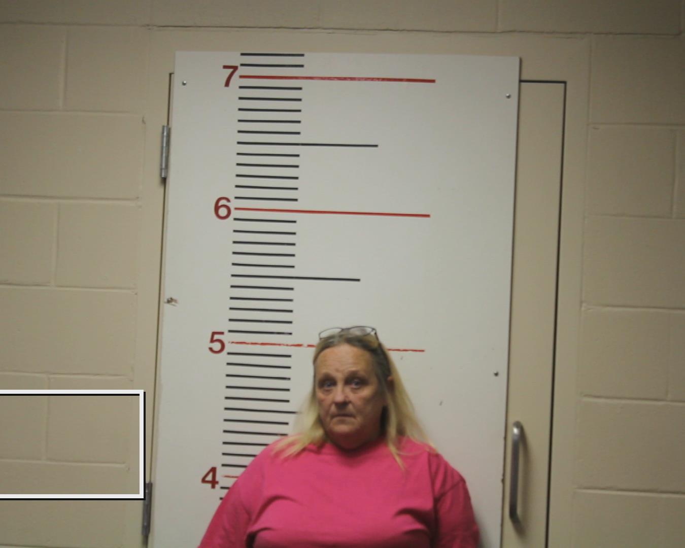 POSEY, GINA SUE booking photo