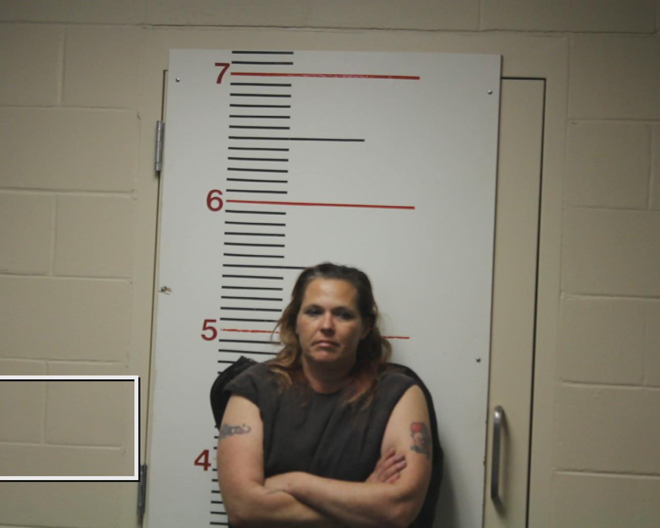 LEACH, MISTY DAWN booking photo