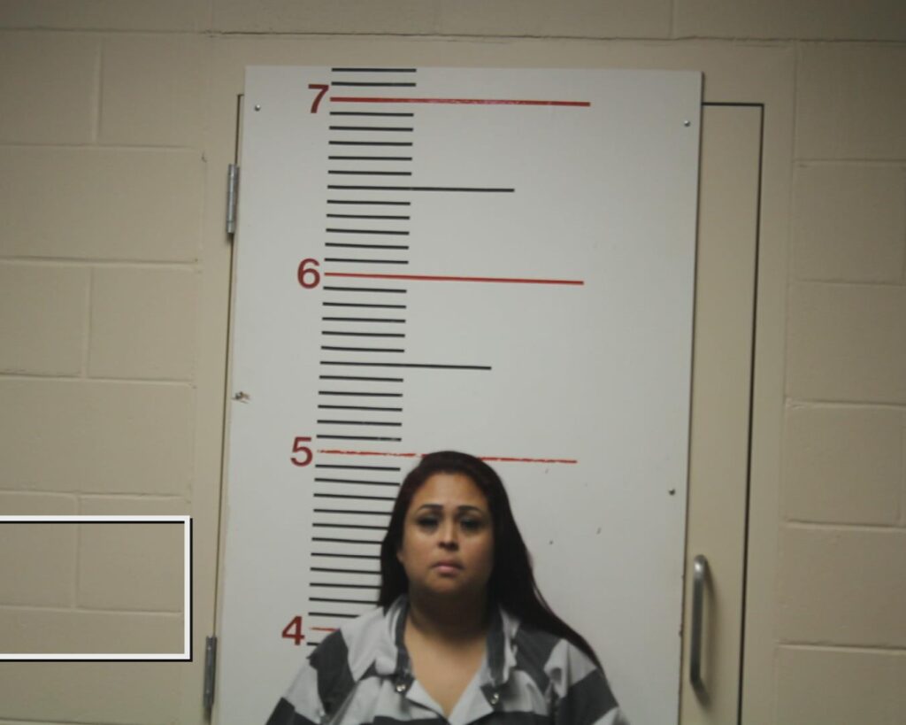 BUSTILLO-VASQUEZ, OSIRIS EMELDA booking photo