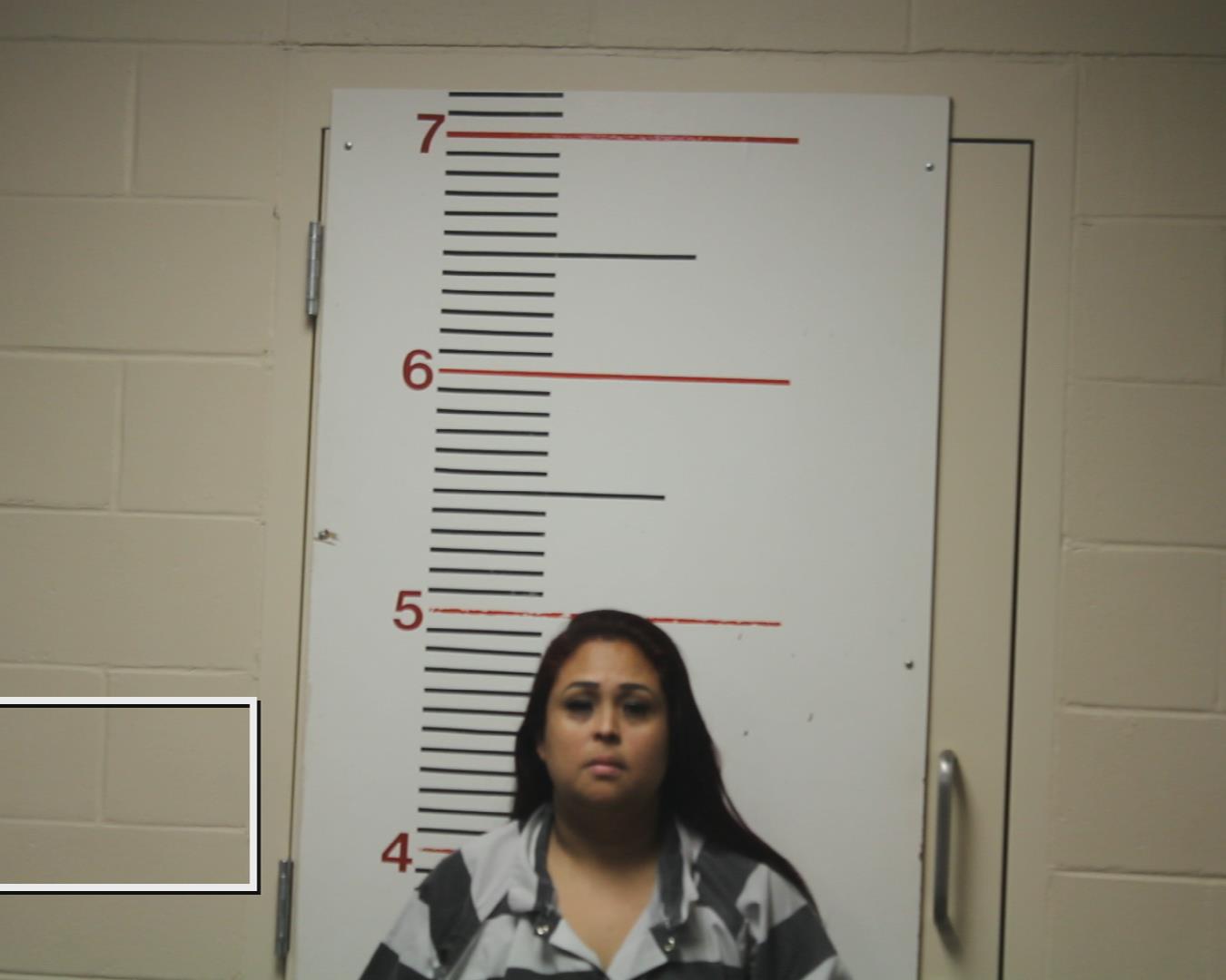 BUSTILLO-VASQUEZ, OSIRIS EMELDA booking photo