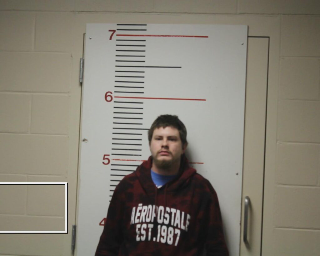 COX, DAKOTA LYNN booking photo