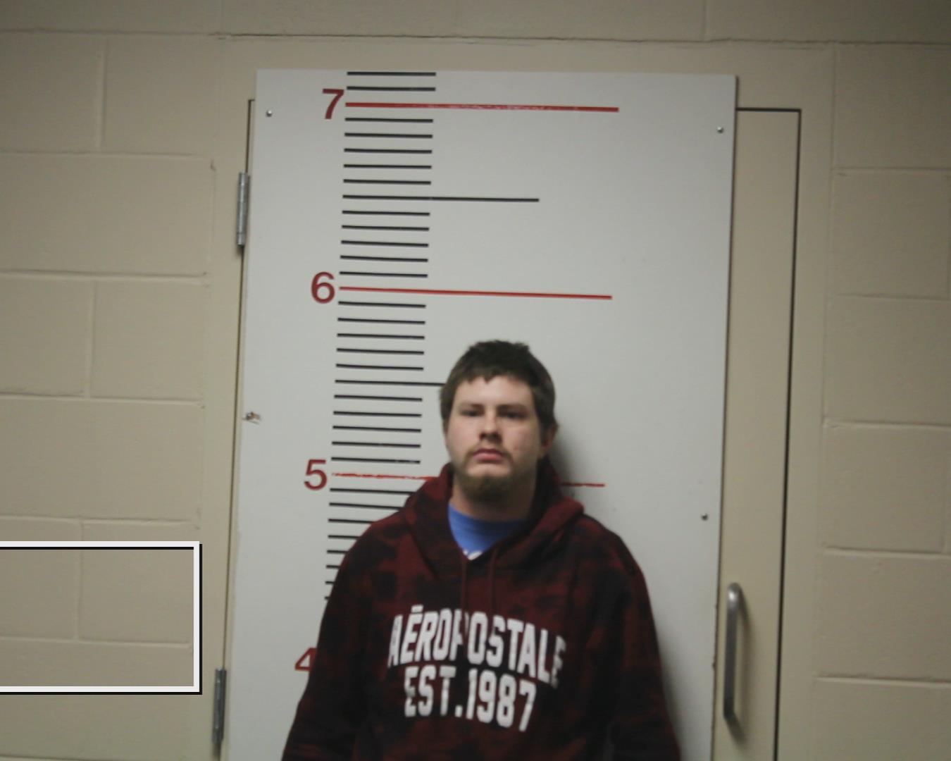 COX, DAKOTA LYNN booking photo